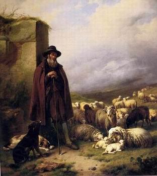 unknow artist Sheep 176 Spain oil painting art